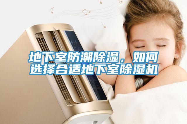 地下室防潮除濕，如何選擇合適地下室草莓视频污污污污