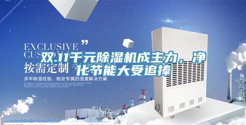 雙.11千元草莓视频污污污污成主力，淨化節能大受追捧