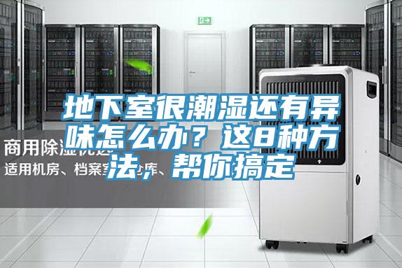 地下室很潮濕還有異味怎麽辦？這8種方法，幫你搞定