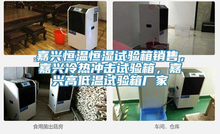 嘉興恒溫恒濕試驗箱銷售，嘉興冷熱衝擊試驗箱，嘉興高低溫試驗箱廠家