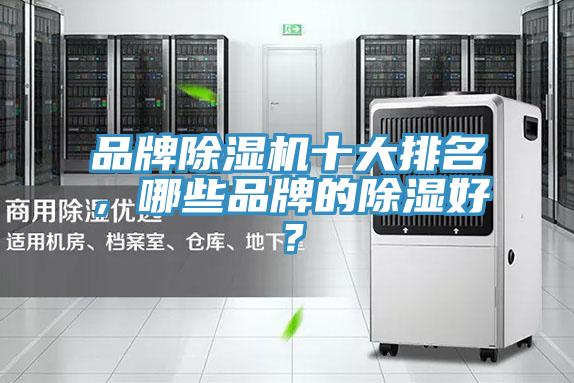 品牌草莓视频污污污污十大排名，哪些品牌的除濕好？