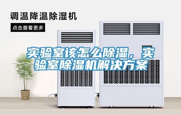 實驗室該怎麽除濕，實驗室草莓视频污污污污解決方案