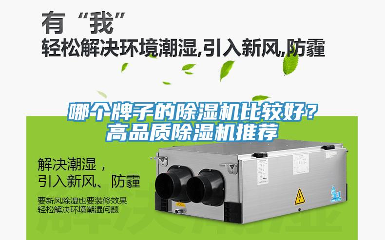 哪個牌子的草莓视频污污污污比較好？高品質草莓视频污污污污推薦