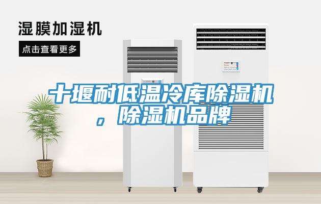 十堰耐低溫冷庫草莓视频污污污污，草莓视频污污污污品牌