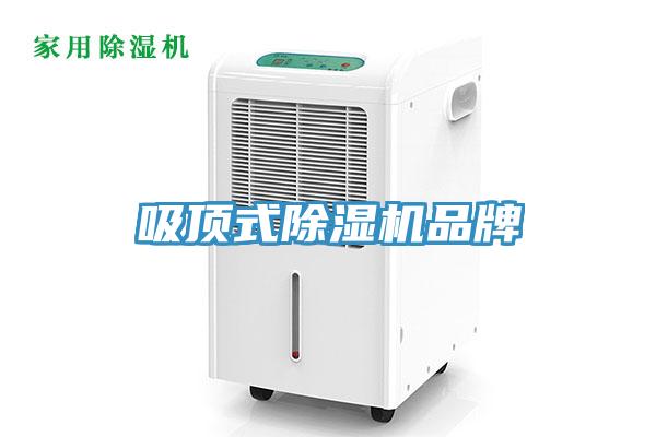 吸頂式草莓视频污污污污品牌