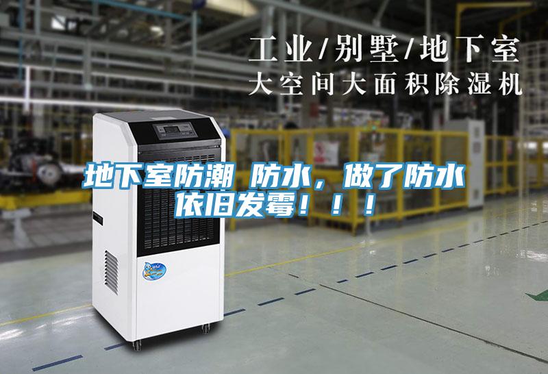地下室防潮≠防水，做了防水依舊發黴！！！