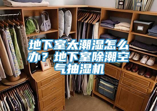 地下室太潮濕怎麽辦？地下室除潮空氣抽濕機