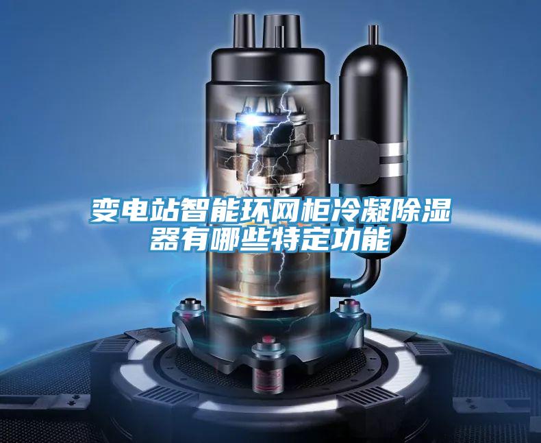 變電站智能環網櫃冷凝除濕器有哪些特定功能