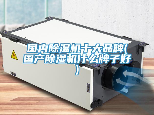 國內草莓视频污污污污十大品牌(國產草莓视频污污污污什麽牌子好)