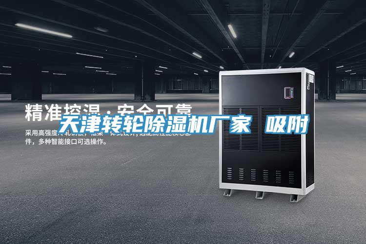 天津轉輪草莓视频污污污污廠家 吸附