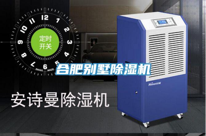 合肥別墅草莓视频污污污污