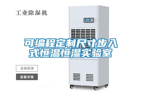 可編程定製尺寸步入式恒溫恒濕實驗室