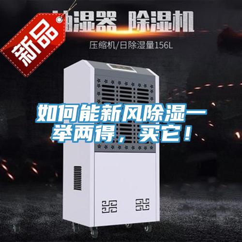 如何能新風除濕一舉兩得，買它！