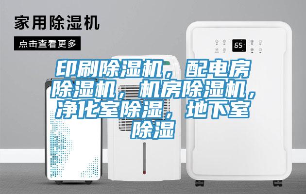 印刷草莓视频污污污污，配電房草莓视频污污污污，機房草莓视频污污污污，淨化室除濕，地下室除濕