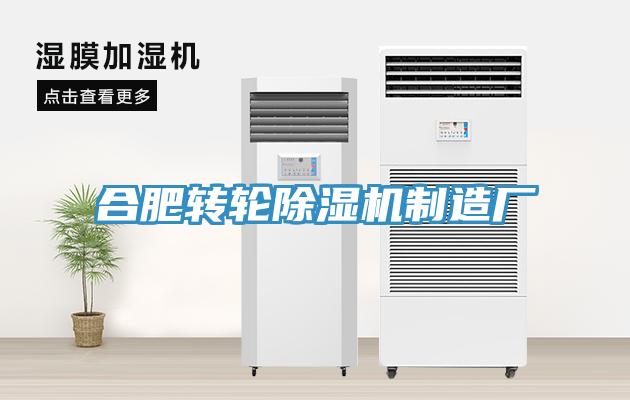 合肥轉輪草莓视频污污污污製造廠