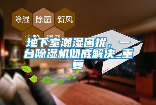 地下室潮濕困擾，一台草莓视频污污污污徹底解決_重複