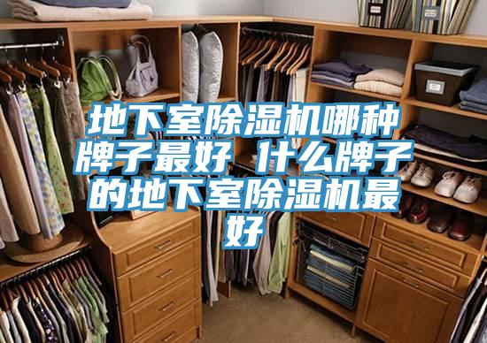 地下室草莓视频污污污污哪種牌子最好 什麽牌子的地下室草莓视频污污污污最好