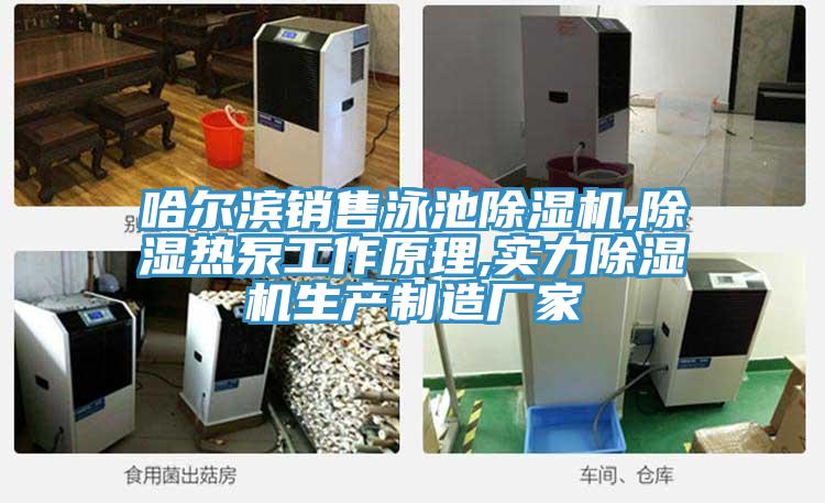 哈爾濱銷售泳池草莓视频污污污污,除濕熱泵工作原理,實力草莓视频污污污污生產製造廠家