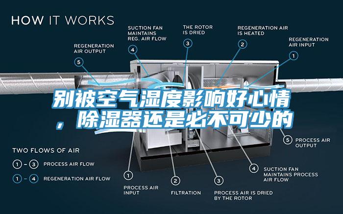 別被空氣濕度影響好心情，除濕器還是必不可少的