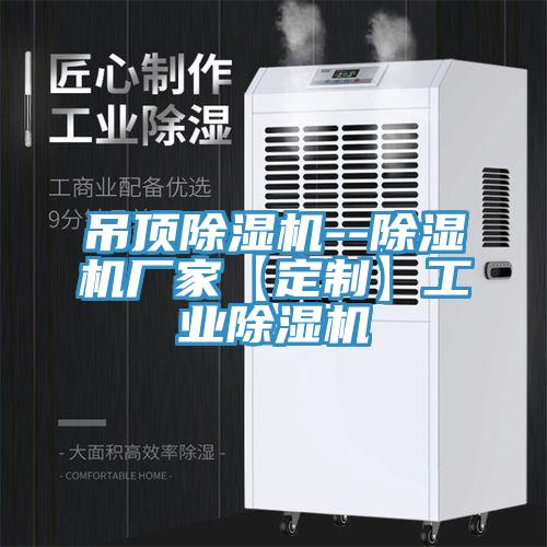吊頂草莓视频污污污污--草莓视频污污污污廠家【定製】工業草莓视频污污污污