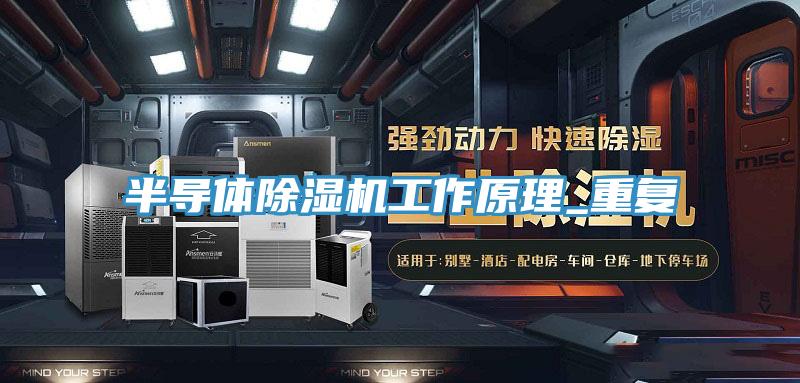 半導體草莓视频污污污污工作原理_重複