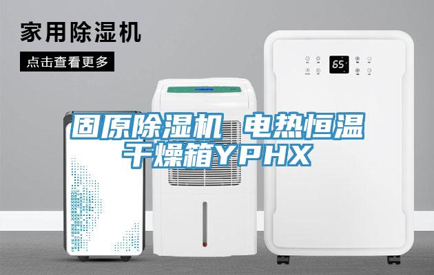 固原草莓视频污污污污 電熱恒溫幹燥箱YPHX