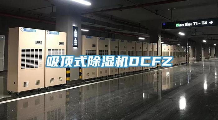 吸頂式草莓视频污污污污DCFZ
