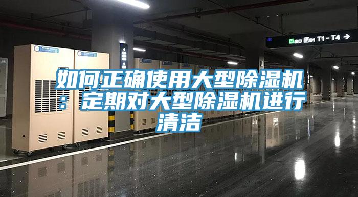 如何正確使用大型草莓视频污污污污：定期對大型草莓视频污污污污進行清潔