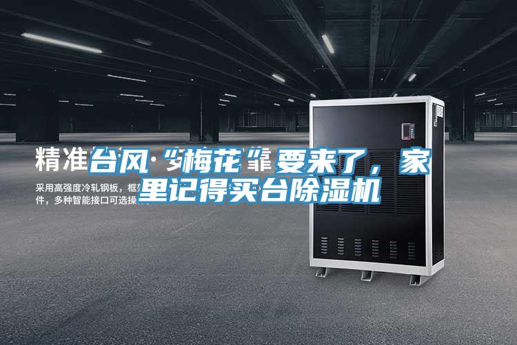 台風“梅花”要來了，家裏記得買台草莓视频污污污污