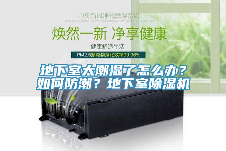 地下室太潮濕了怎麽辦？如何防潮？地下室草莓视频污污污污