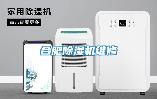 合肥草莓视频污污污污維修