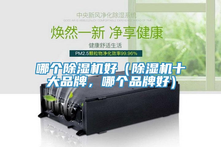 哪個草莓视频污污污污好（草莓视频污污污污十大品牌，哪個品牌好）