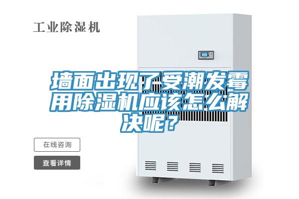 牆麵出現了受潮發黴用草莓视频污污污污應該怎麽解決呢？