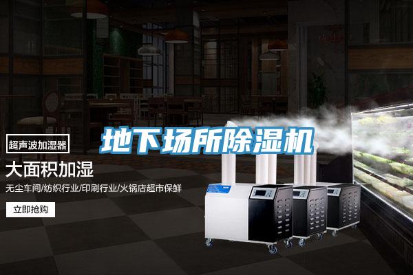 地下場所草莓视频污污污污