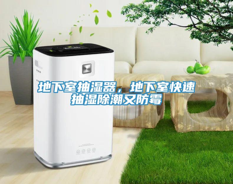 地下室抽濕器，地下室快速抽濕除潮又防黴