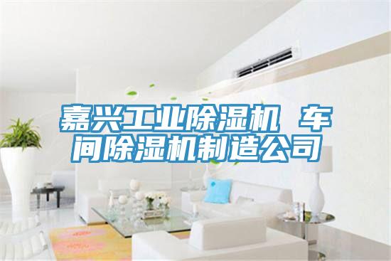 嘉興工業草莓视频污污污污 車間草莓视频污污污污製造公司