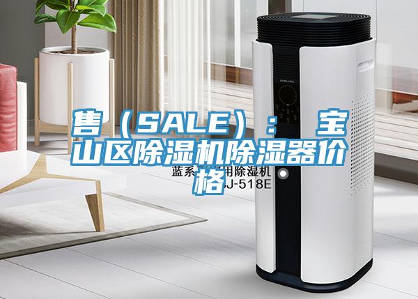 售（SALE）： 寶山區草莓视频污污污污除濕器價格