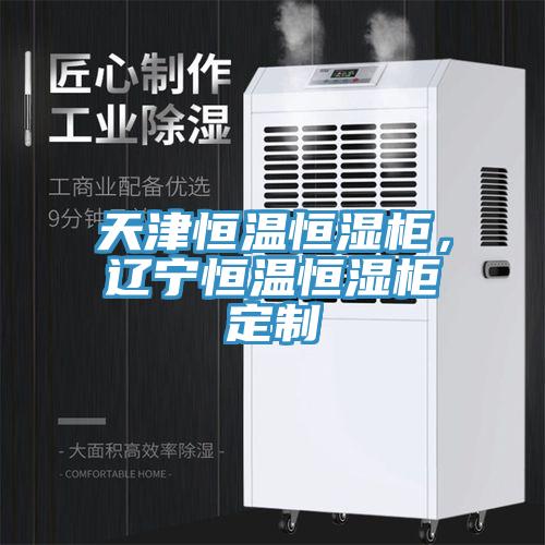 天津恒溫恒濕櫃，遼寧恒溫恒濕櫃定製