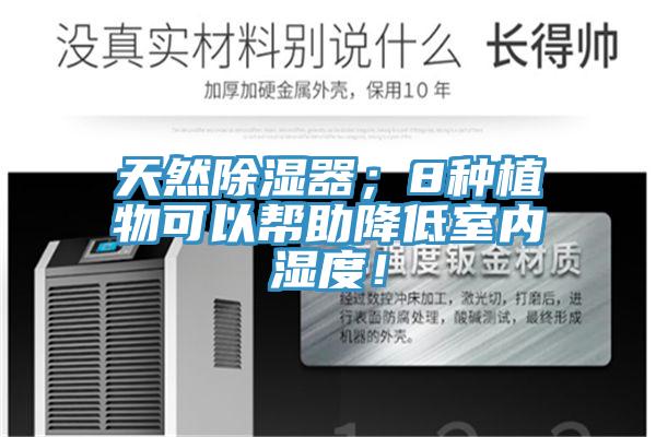 天然除濕器；8種植物可以幫助降低室內濕度！
