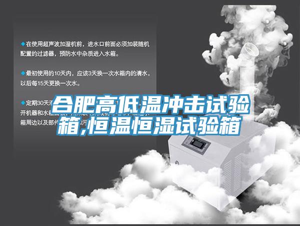 合肥高低溫衝擊試驗箱,恒溫恒濕試驗箱