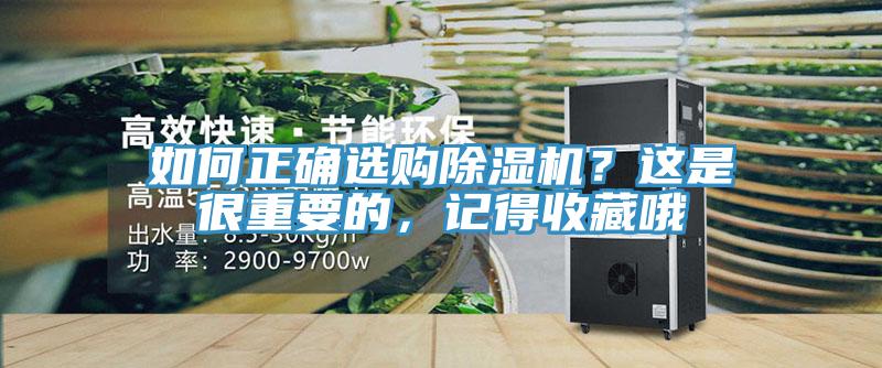 如何正確選購草莓视频污污污污？這是很重要的，記得收藏哦