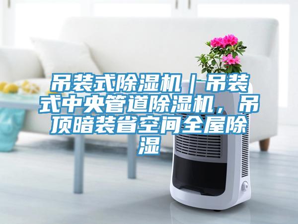 吊裝式草莓视频污污污污｜吊裝式中央管道草莓视频污污污污，吊頂暗裝省空間全屋除濕