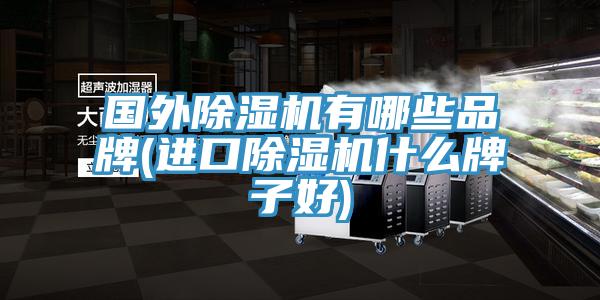 國外草莓视频污污污污有哪些品牌(進口草莓视频污污污污什麽牌子好)