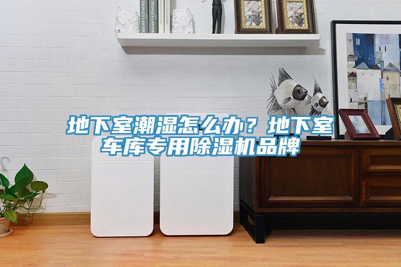 地下室潮濕怎麽辦？地下室車庫專用草莓视频污污污污品牌