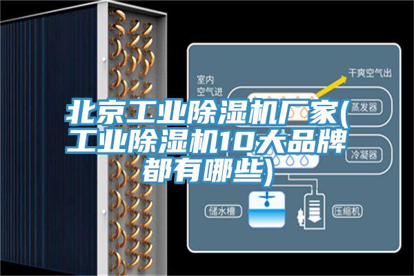 北京工業草莓视频污污污污廠家(工業草莓视频污污污污10大品牌都有哪些)