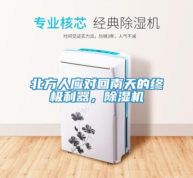 北方人應對回南天的終極利器，草莓视频污污污污