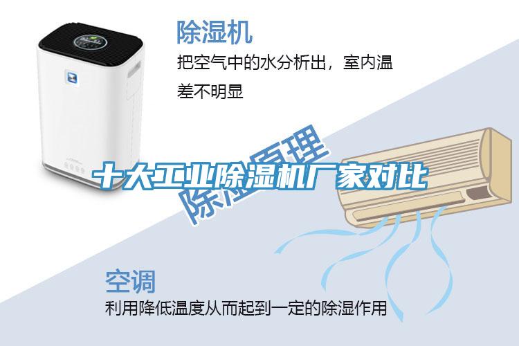 十大工業草莓视频污污污污廠家對比