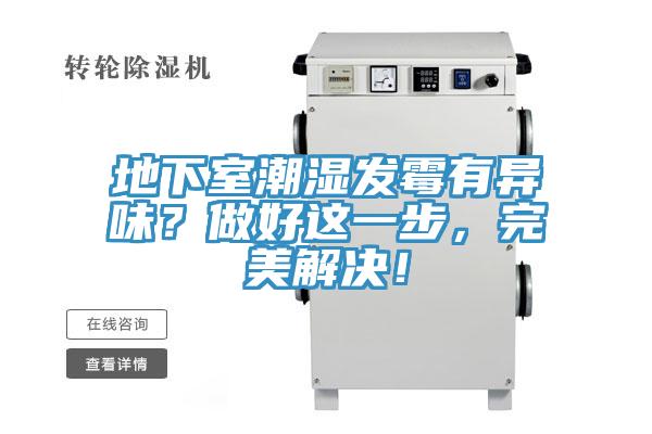 地下室潮濕發黴有異味？做好這一步，完美解決！