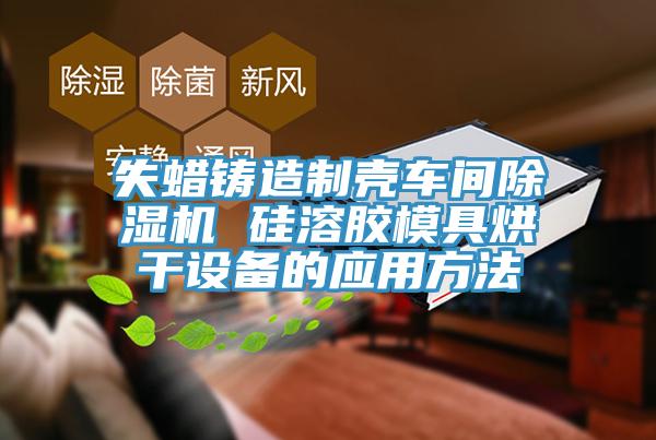失蠟鑄造製殼車間草莓视频污污污污 矽溶膠模具烘幹設備的應用方法