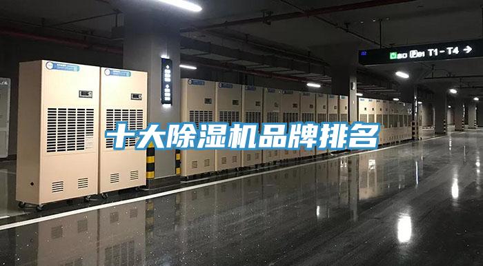 十大草莓视频污污污污品牌排名